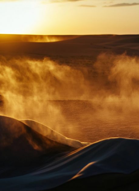Desert Silhouette at Sunset